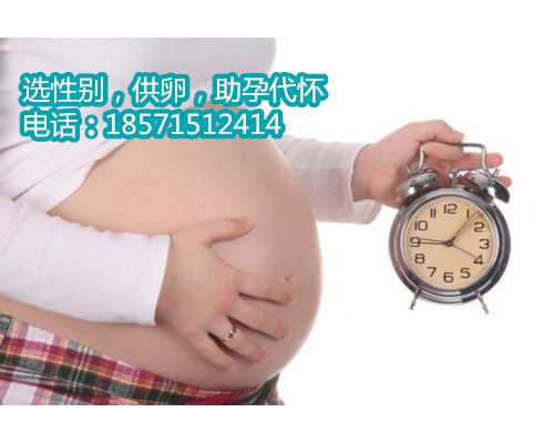 上海助孕生男孩，上海供卵联系找坤和助孕,上海供卵联系先选坤和