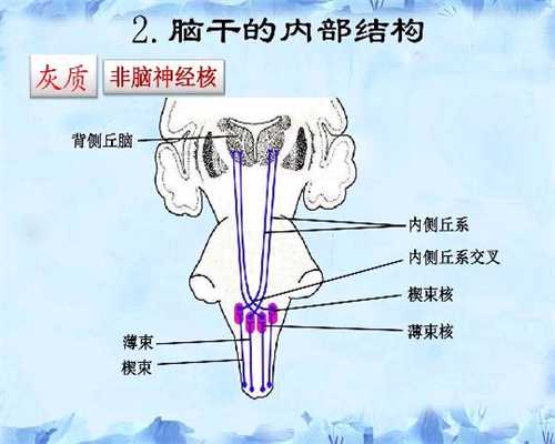 上海代孕要求-想上海做孕妈妈-上海哪个医院可以做三代试管