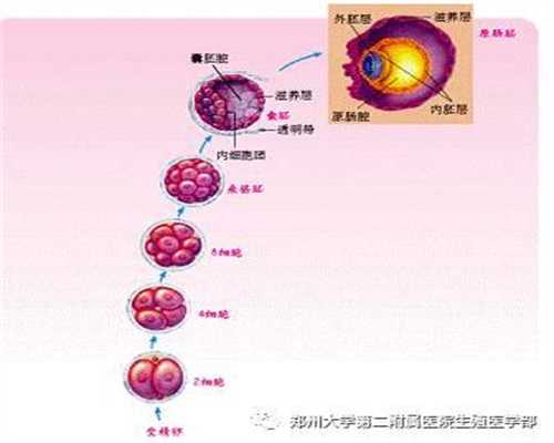 上海代孕全包~上海代孕中心怎样~上海借卵血型不一样行吗