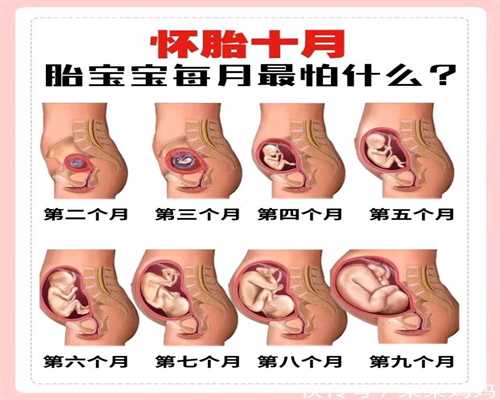 上海代孕流程，上海代怀孩子哪里找，上海试管代孕合法代孕