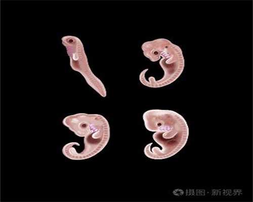 上海试管代孕~上海代孕服务~上海去哪里发代孕信息