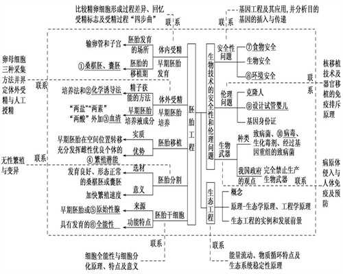 上海二胎代孕,上海正规的代孕机构,上海人工助孕比自然代孕