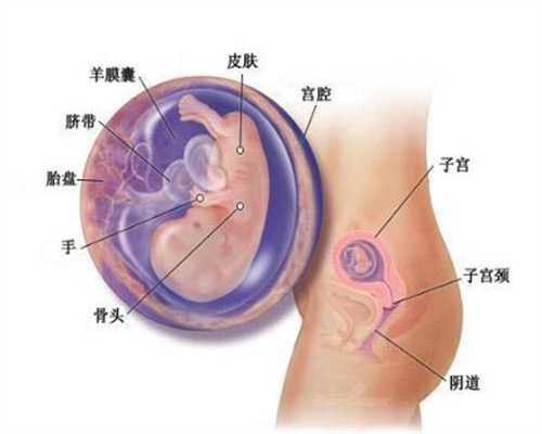 上海代孕试管~上海代孕医院靠谱吗~上海代孕网站哪家靠谱