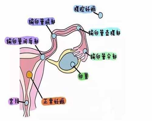 上海代孕试管，上海代孕生儿子中心，上海代孕医院上海代孕