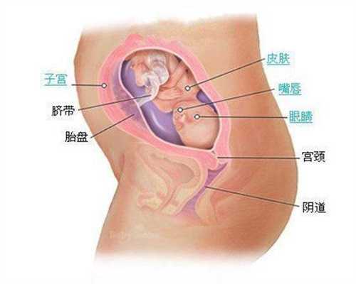 上海代孕~上海寻找代孕母亲~上海代孕生男孩费用明细