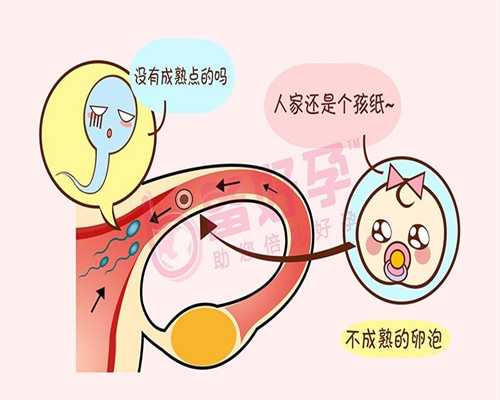 上海代孕好吗,上海代孕选男女,上海哪个医院能做借卵试管