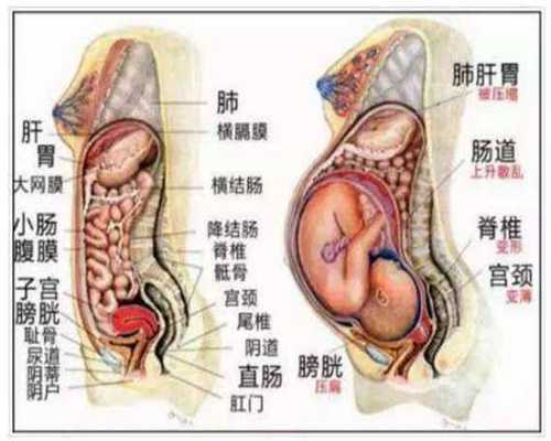 上海急寻代孕`上海代孕的技术基础`想上海做试管代孕最好