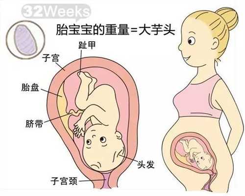 上海代孕中介-上海试管是怎么做-2020年上海做供卵试管代孕费用