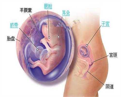 上海代孕方法`知名上海代孕哪家好`上海代孩子收费十万元