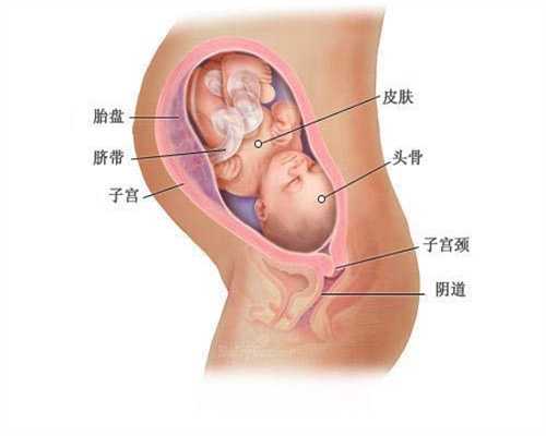 上海代孕套餐,上海代孕妇女,上海有没有找代孕爸爸的