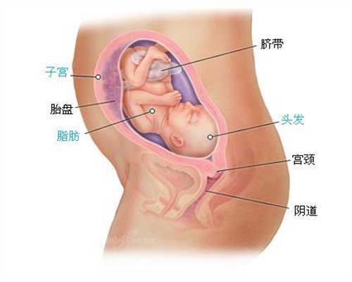 上海代孕妈妈~上海借腹生子网~上海借卵子试管的费用
