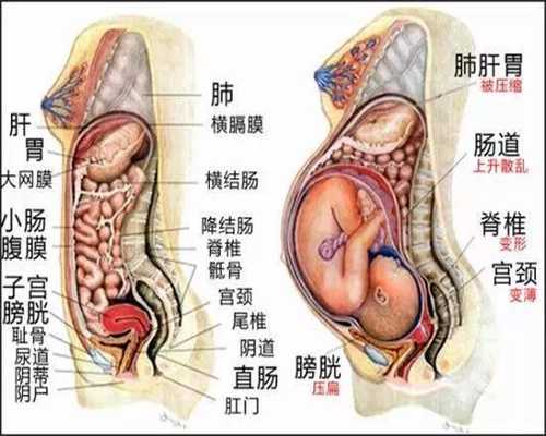 上海爱心代孕`上海想帮别人代孕`想找大学生上海代孕生孩子