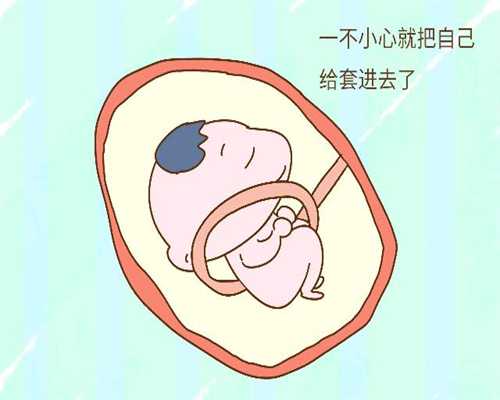 上海代孕方式~上海代孕最专业机构~上海试管代孕如何上海助孕