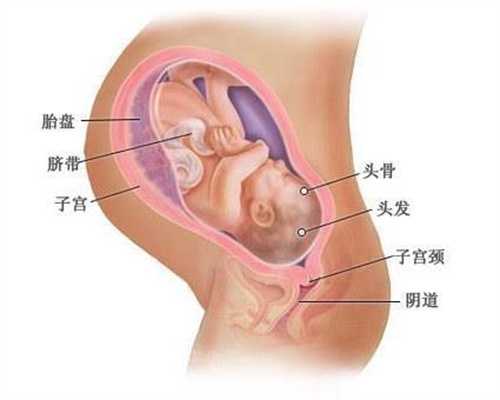 上海代孕价格-有上海做试管代孕-上海供卵3代上海试管代孕