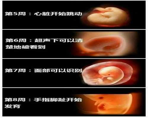 上海代孕婴儿-上海代孕套餐多少钱-上海代孕生子怎么收费