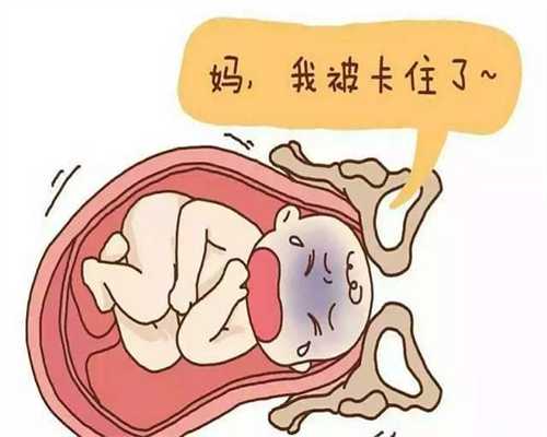 上海代生男孩-上海代孕有风险吗-上海做试管生男孩多少钱
