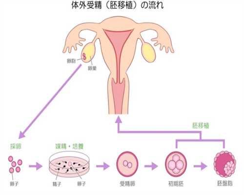 上海代孕生仔-上海做试管哪家好-上海有人愿意做代孕妈妈吗