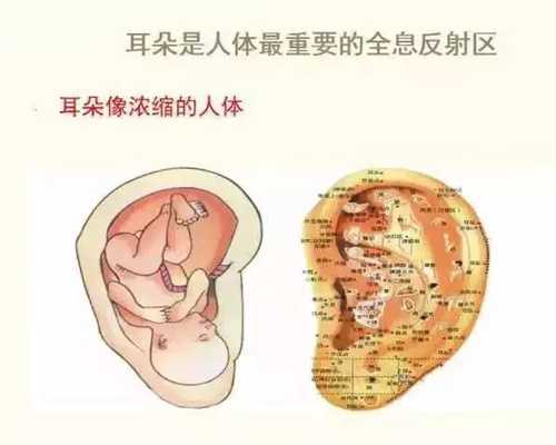 上海代孕移植_专业找上海代孕机构_上海试管代孕找子宫多少钱