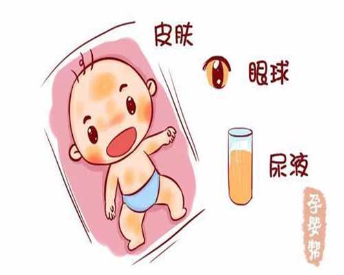 上海代孕案例~专业上海代怀孕中介~上海做试管代孕需要多少钱