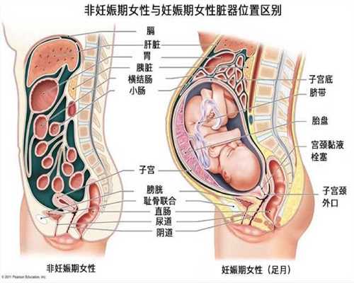 上海代孕方法,上海做试管代孕成,上海供卵试管代孕在哪里