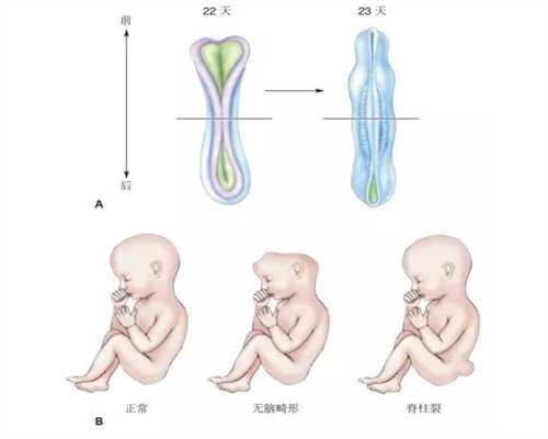 上海代孕方法-上海代孕最新技术-上海代生机构上海代孕产子