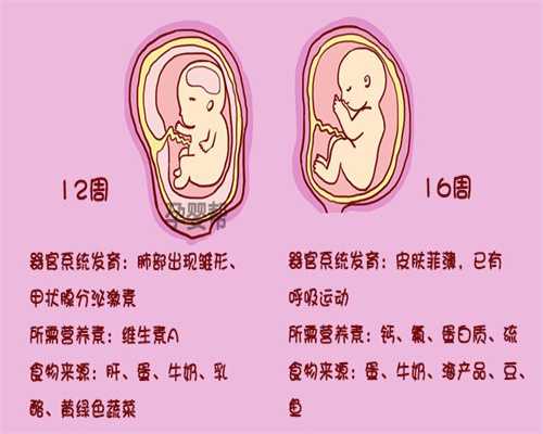 上海代孕服务，上海孕妈妈得多少钱，上海试管代孕选男女费用