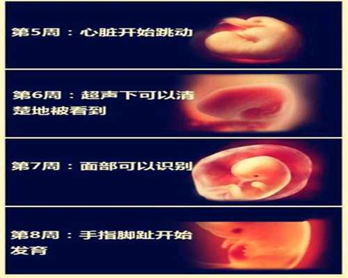 上海正规代孕，上海专业代孕多少钱，上海代孕生孩子宝宝价格