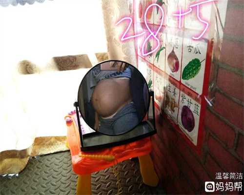 杭州正规的代孕包成功：怀孕前都要做好哪些准备