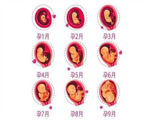 代孕试管选性别_代生宝宝费用_代生小孩哪家靠谱