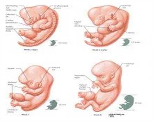 代孕网在哪里_代孕帮供卵代生孩子_代生儿子包性别