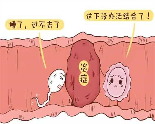 上海代孕可以选择性别吗-在泰国做供卵试管婴儿_男女双方需要具备怎样的条件