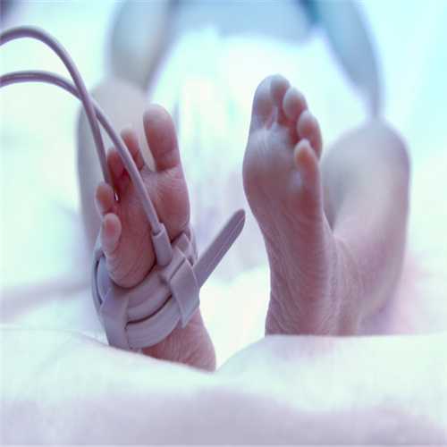 专业的代孕哪里有-上海找靠谱代孕_2020年出生的孩子是什么命2020年出生的鼠宝